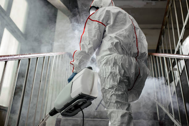 Best Mold Remediation for Rental Properties  in Palmdale, CA